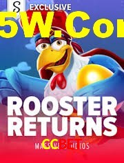 Roulette Table CCbet